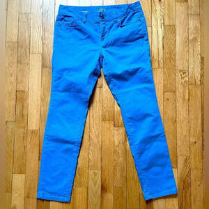 Ann Taylor Loft Modern Straight BLUE 💙 Pants 6P